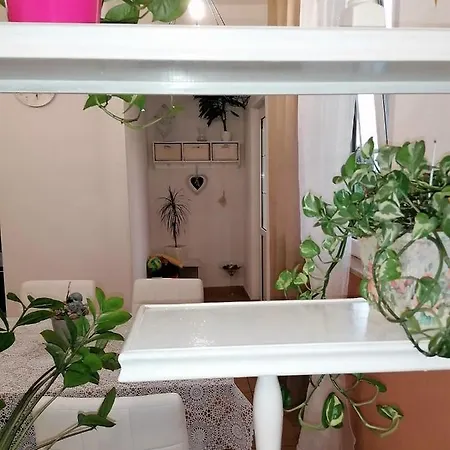 B&s Apartment